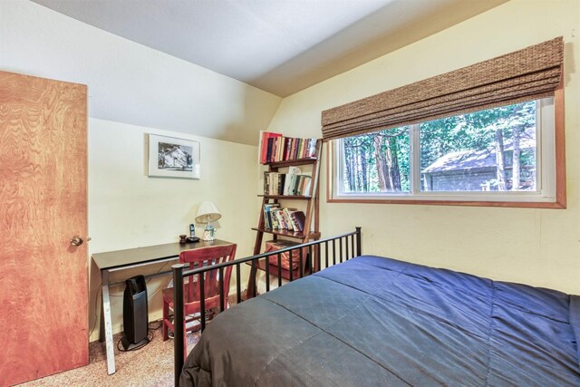 bedroom featuring carpet and vaulted ceiling