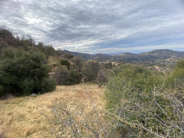 0 High Oaks Ln, Squaw Valley CA, 93675 land for sale