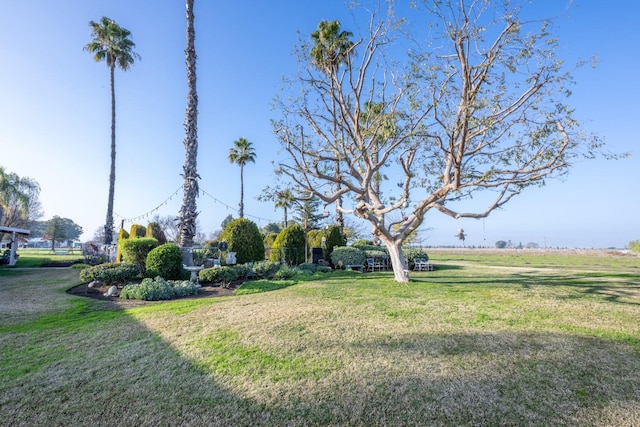 8510 E Nees Ave, Clovis, CA 93619 - view of grassy yard