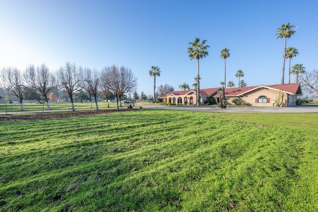 8510 E Nees Ave, Clovis, CA 93619 - view of green lawn with driveway
