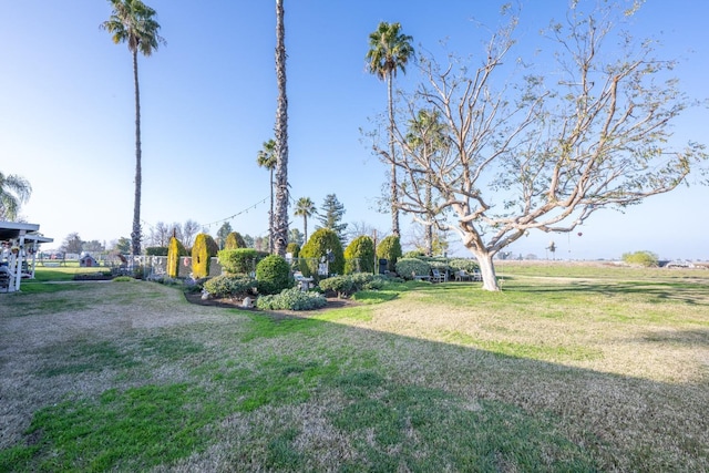 8510 E Nees Ave, Clovis, CA 93619 - view of grassy yard