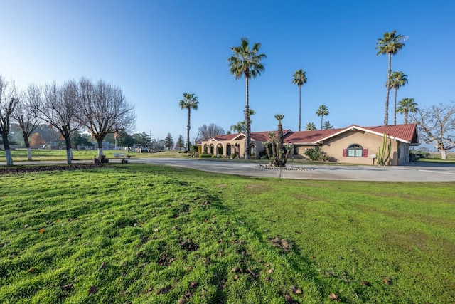 8510 E Nees Ave, Clovis, CA 93619 - view of grassy yard featuring driveway