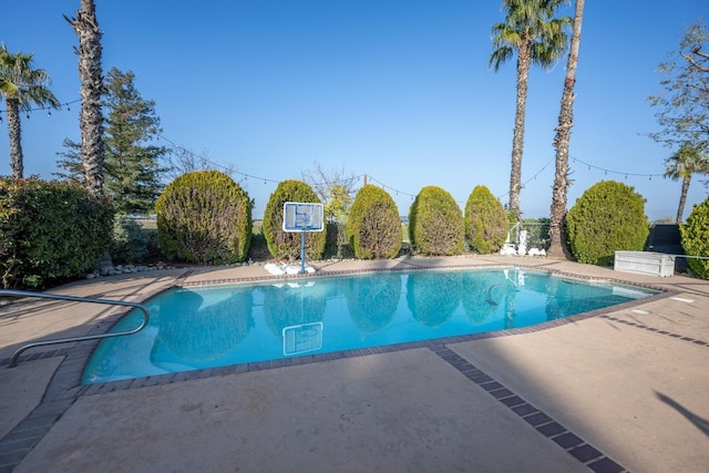 view of pool featuring a patio