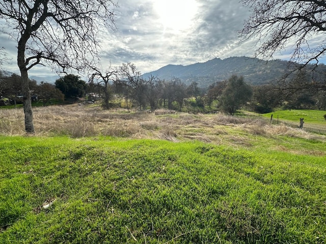 Listing photo 3 for 37346 Mistletoe Rd, Yokuts Valley CA 93675