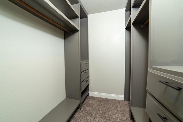 walk in closet with carpet floors