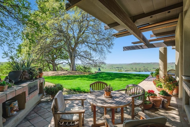 view of patio / terrace with area for grilling