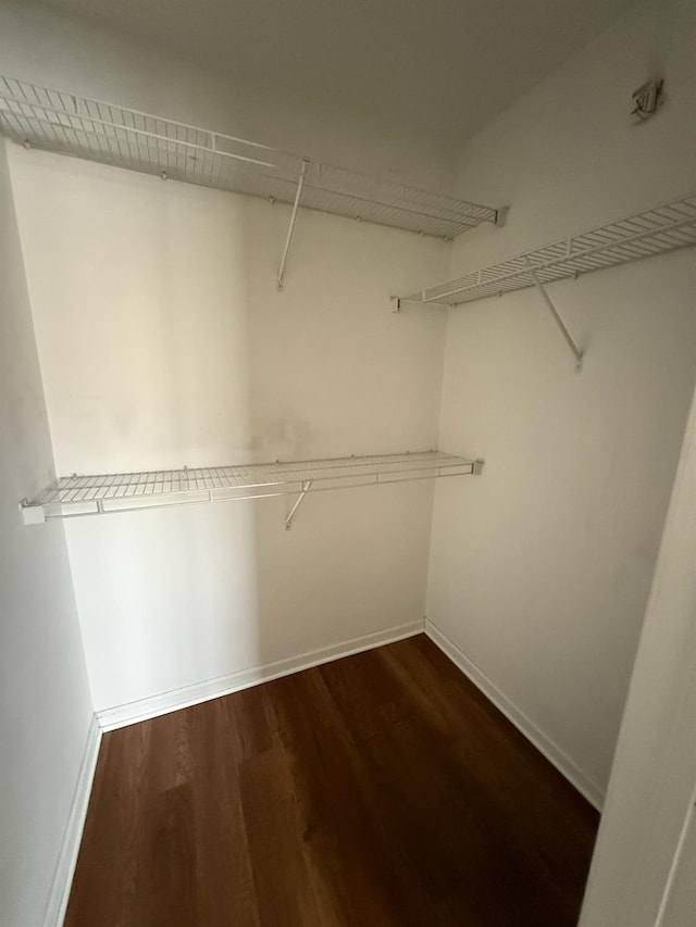 walk in closet with dark wood-type flooring