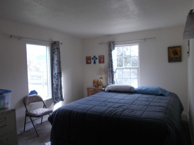 view of carpeted bedroom