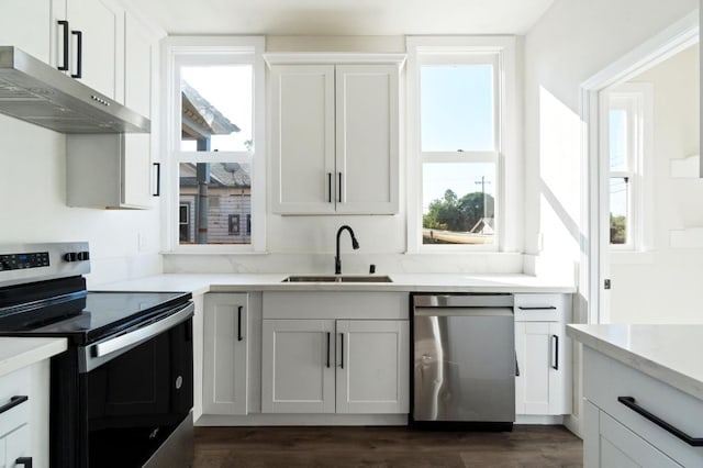 kitchen with a wealth of natural light, sink, stainless steel appliances, ventilation hood, and white cabinets