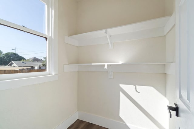 spacious closet featuring dark hardwood / wood-style flooring