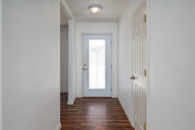 entryway featuring dark hardwood / wood-style flooring