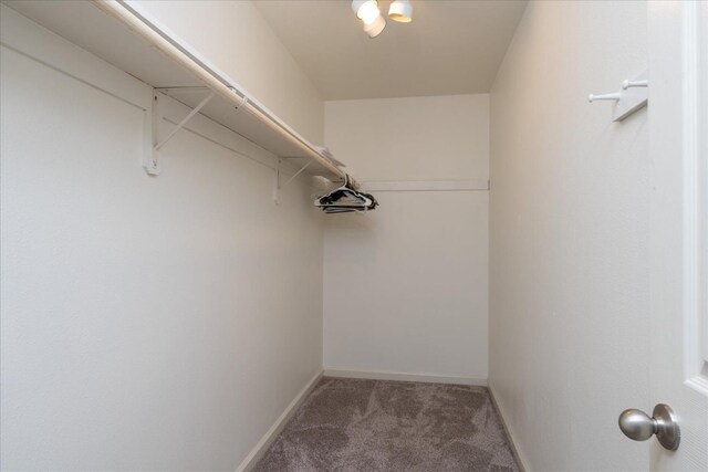 spacious closet with carpet floors