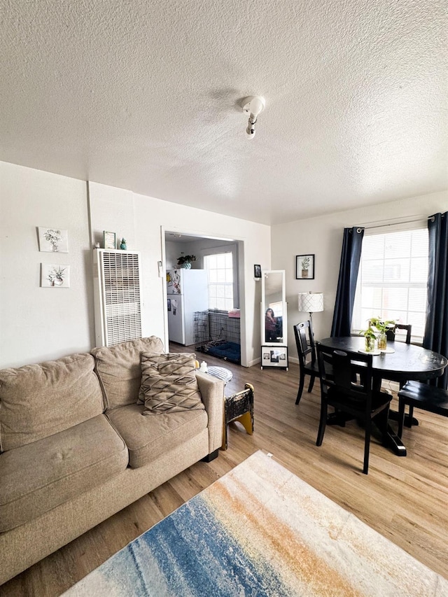 living room with a textured ceiling and hardwood / wood-style flooring