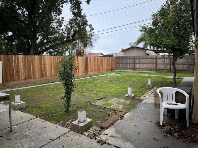 view of yard featuring a patio area