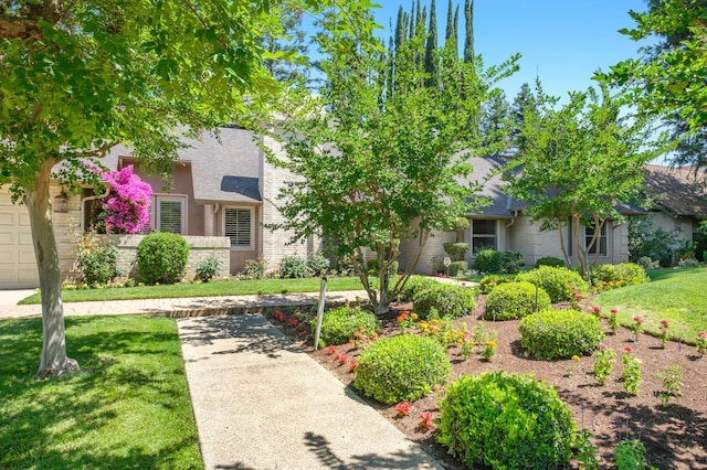 view of front facade with a front yard