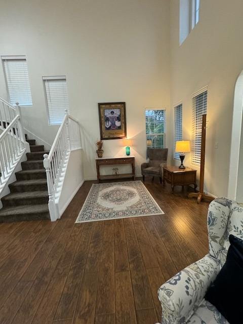 interior space with a high ceiling, dark hardwood / wood-style floors, and a wealth of natural light