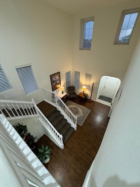 stairs with hardwood / wood-style floors