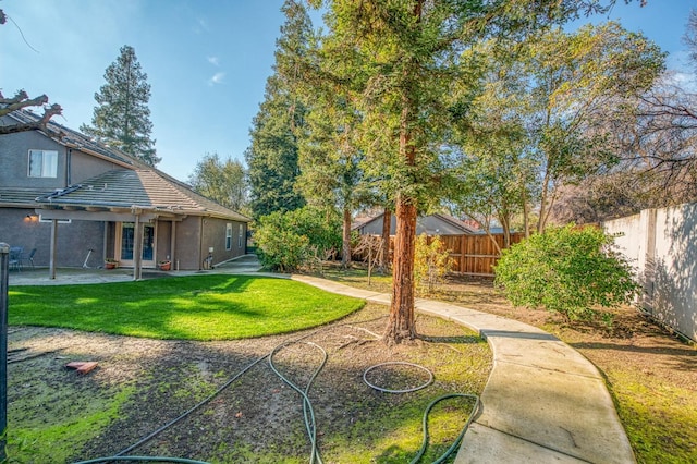 view of yard featuring a patio