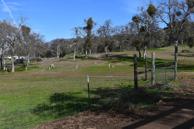 view of yard featuring a rural view