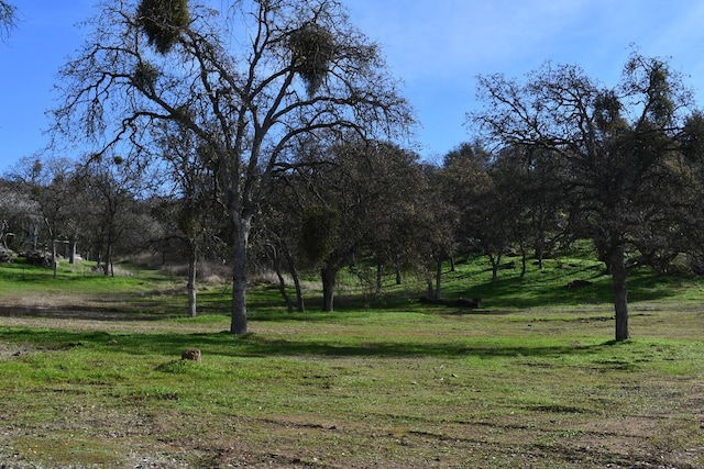 view of landscape