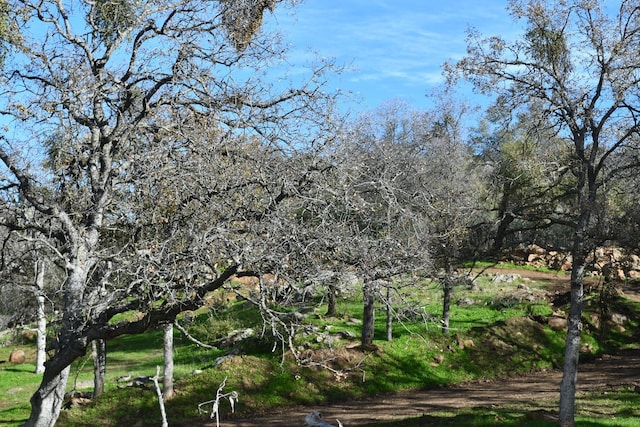 view of landscape