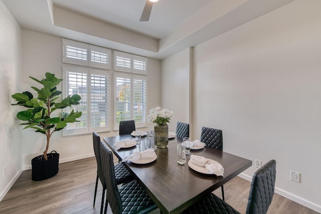 dining space featuring ceiling fan, a tray ceiling, and hardwood / wood-style floors