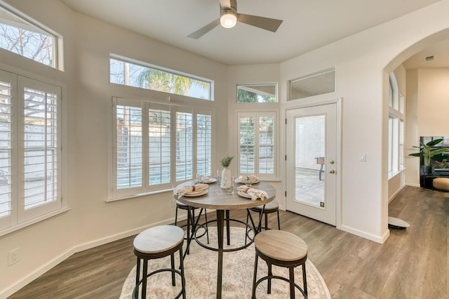 dining area featuring hardwood / wood-style floors, a healthy amount of sunlight, and ceiling fan