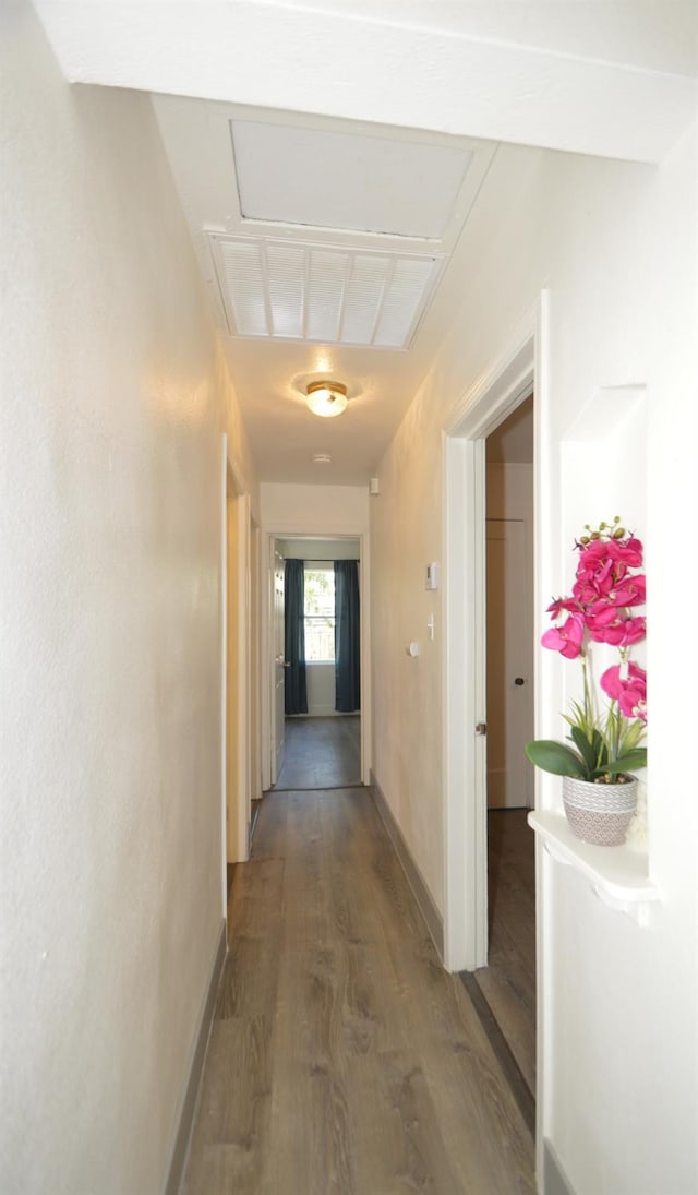 hallway featuring dark hardwood / wood-style floors