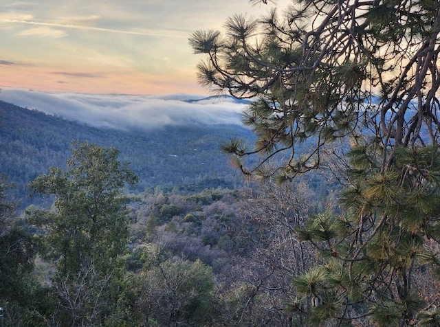 nature at dusk featuring a mountain view