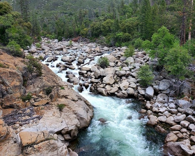 view of local wilderness