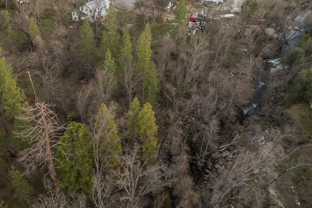 bird's eye view with a wooded view