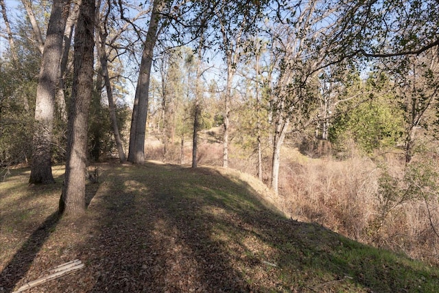 39627 Brandywine Ln, Oakhurst, CA 93644 - view of nature