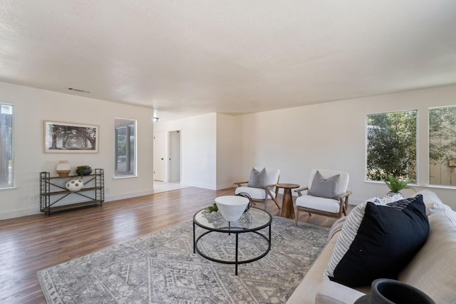 living room featuring hardwood / wood-style floors