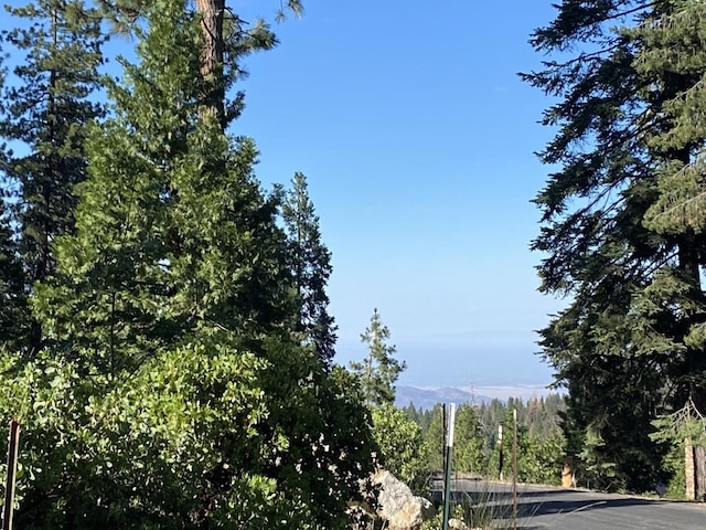 42437 Bretz Point Ln, Shaver Lake CA, 93664 land for sale