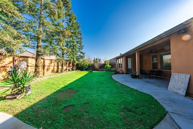 view of yard featuring a patio area