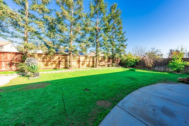 view of yard with a patio area