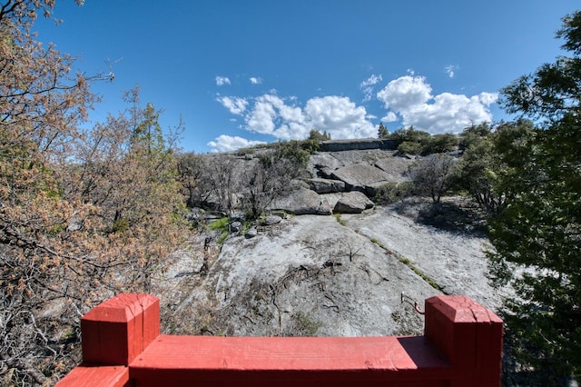 39722 Crest Point Ln, Shaver Lake, CA 93664 - view of yard