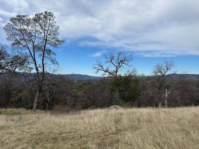 Listing photo 3 for 3270 Wildcat Rd, Mariposa CA 95338