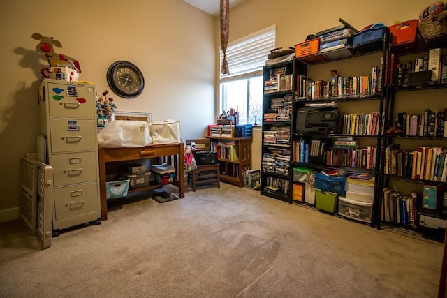 interior space with light carpet