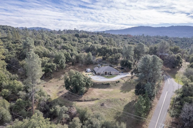 drone / aerial view featuring a mountain view