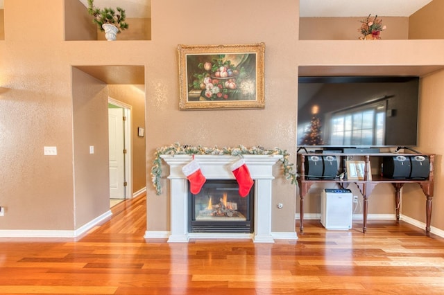 living room featuring wood-type flooring