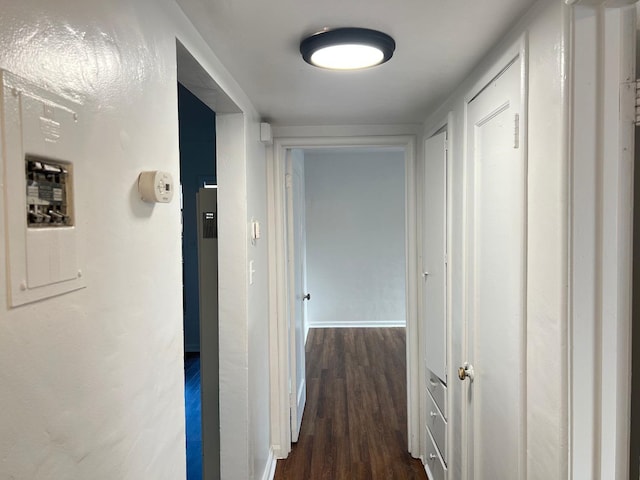 corridor featuring dark wood-type flooring