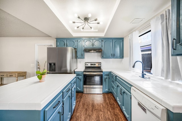 kitchen featuring sink, dark hardwood / wood-style floors, blue cabinetry, a tray ceiling, and stainless steel appliances