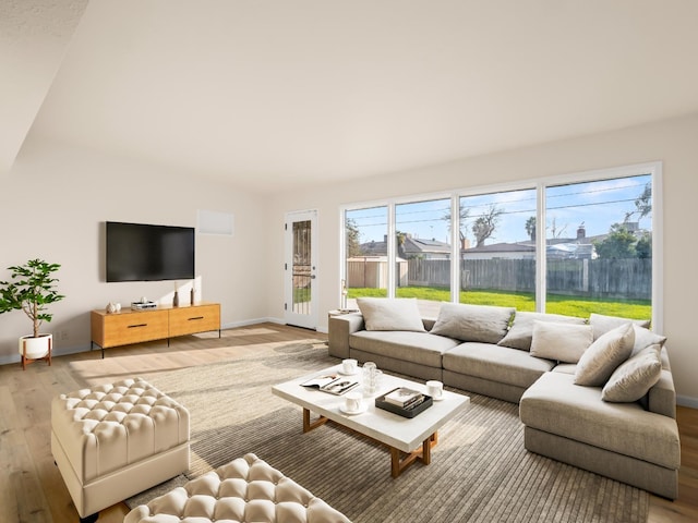 living room with wood-type flooring