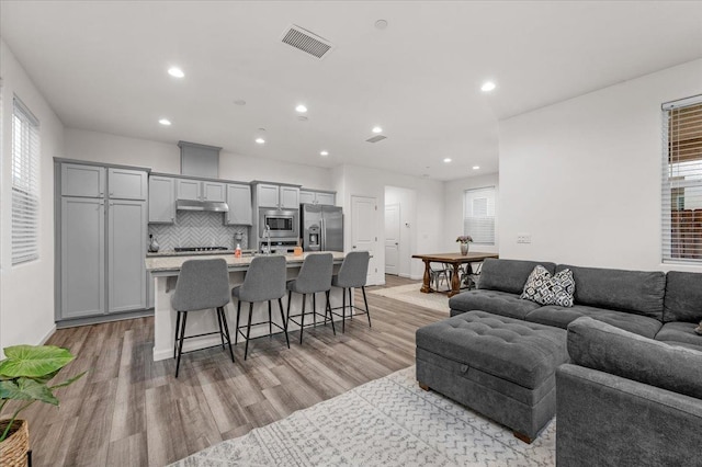 living room with light hardwood / wood-style floors