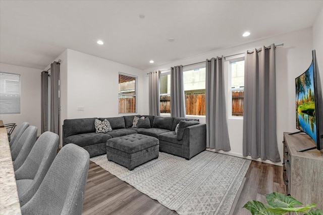 living room featuring hardwood / wood-style flooring