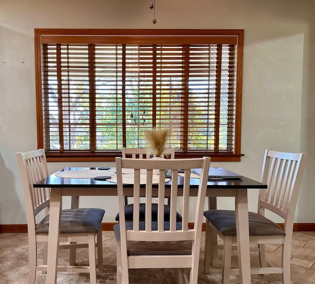 dining area with plenty of natural light