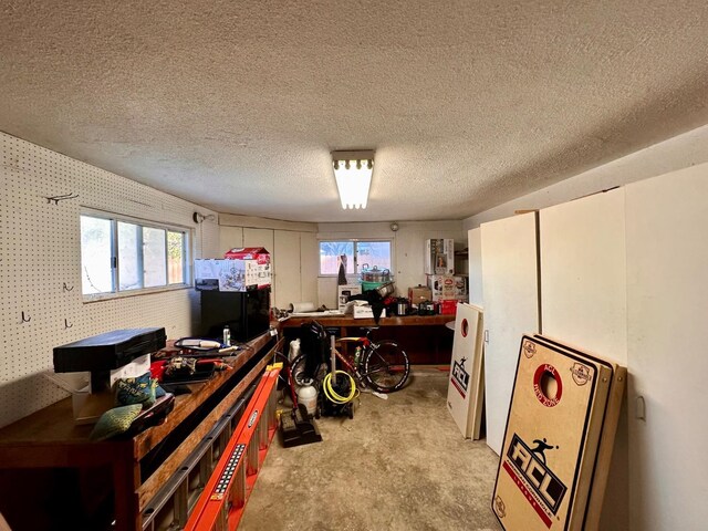 home office with a wealth of natural light, a textured ceiling, and a workshop area