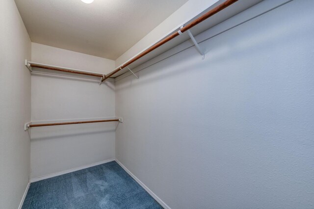 spacious closet with carpet