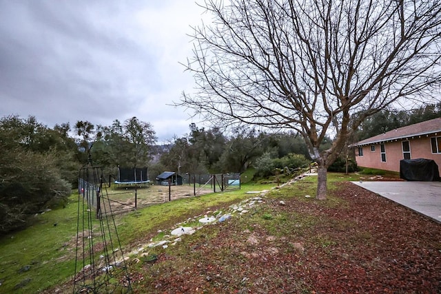 view of yard with a patio area and a trampoline